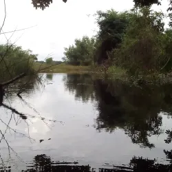 Nariva Swamp - Rio Claro
