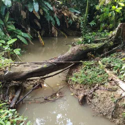 Ortoire River - Rio Claro