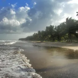 Rio Claro Market - Rio Claro