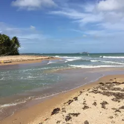 Rio Claro Market - Rio Claro
