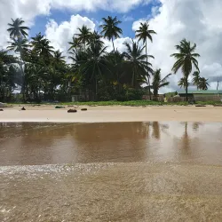 Rio Claro Market - Rio Claro