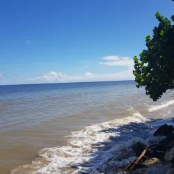Rio Claro Market - Rio Claro
