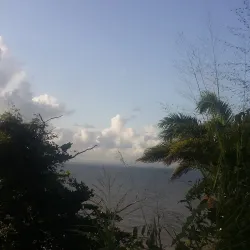 Rio Claro Market - Rio Claro