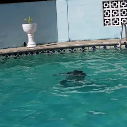 Rio Claro Market - Rio Claro