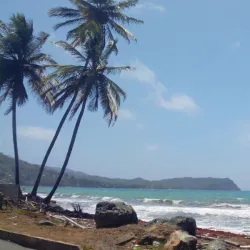 Rio Claro Market - Rio Claro