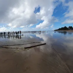 Rio Claro Market - Rio Claro