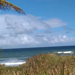 Rio Claro Market - Rio Claro