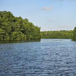 Caroni Bird Sanctuary - Saint Joseph