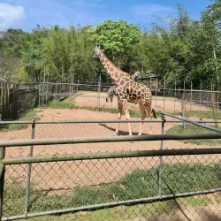 Royal Botanical Gardens - Saint Joseph