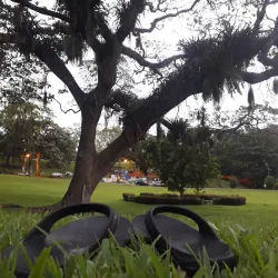 Memorial Park - San Fernando