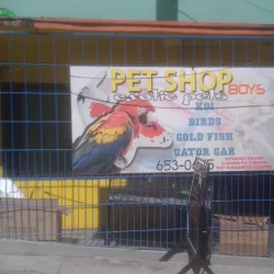 San Fernando Market - San Fernando