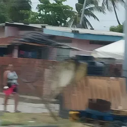 Beetham Gardens - San Juan