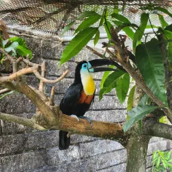 Emperor Valley Zoo (nearby in Port of Spain) - San Juan
