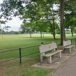 Queen's Park Savannah (nearby in Port of Spain) - San Juan