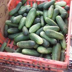 San Juan Market - San Juan