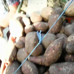 San Juan Market - San Juan