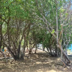 Fort Granby - Scarborough