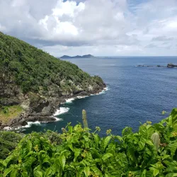 Little Tobago Island - Scarborough