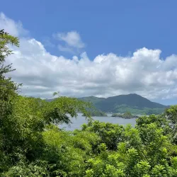 Little Tobago Island - Scarborough