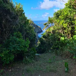 Little Tobago Island - Scarborough