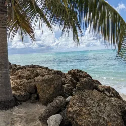 Pigeon Point Heritage Park - Scarborough