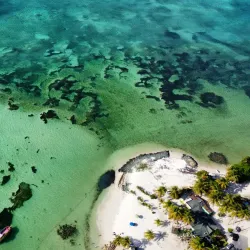 Pigeon Point Heritage Park - Scarborough