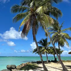 Pigeon Point Heritage Park - Scarborough