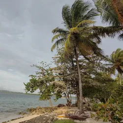 Pigeon Point Heritage Park - Scarborough