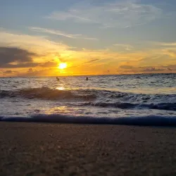 Pigeon Point Heritage Park - Scarborough