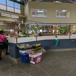 Scarborough Market - Scarborough