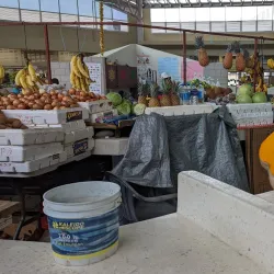 Scarborough Market - Scarborough