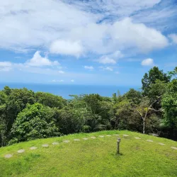 Tobago Main Ridge Forest Reserve - Scarborough