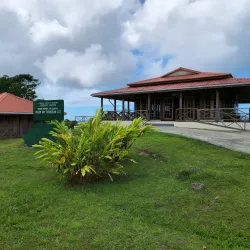 Tobago Main Ridge Forest Reserve - Scarborough
