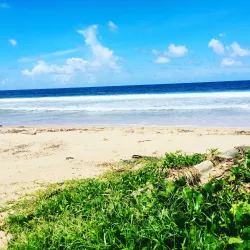 Las Cuevas Beach - St.James