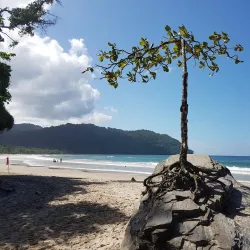 Las Cuevas Beach - St.James