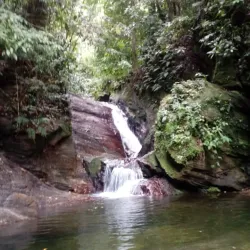 Maracas Waterfall - St.James