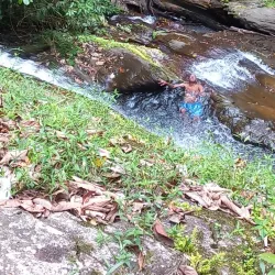 Maracas Waterfall - St.James
