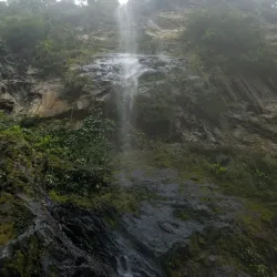 Maracas Waterfall - St.James