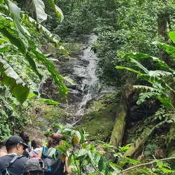 Maracas Waterfall - St.James