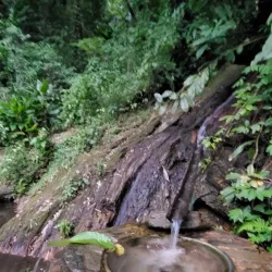 Maracas Waterfall - St.James