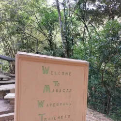 Maracas Waterfall - St.James