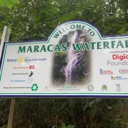 Maracas Waterfall - St.James