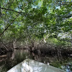 Nariva Swamp - Tacarigua