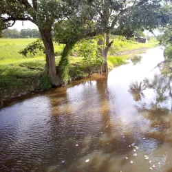 Nariva Swamp - Tacarigua