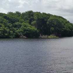 Nariva Swamp - Tacarigua