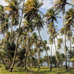Nariva Swamp - Tacarigua