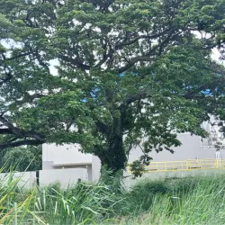 Tacarigua Cricket Ground - Tacarigua