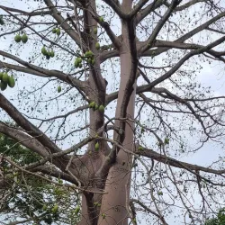 Tacarigua Recreation Ground - Tacarigua