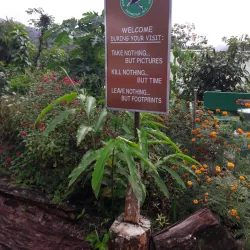 Asa Wright Nature Centre - Trinidad