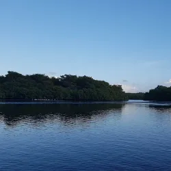 Caroni Bird Sanctuary - Trinidad